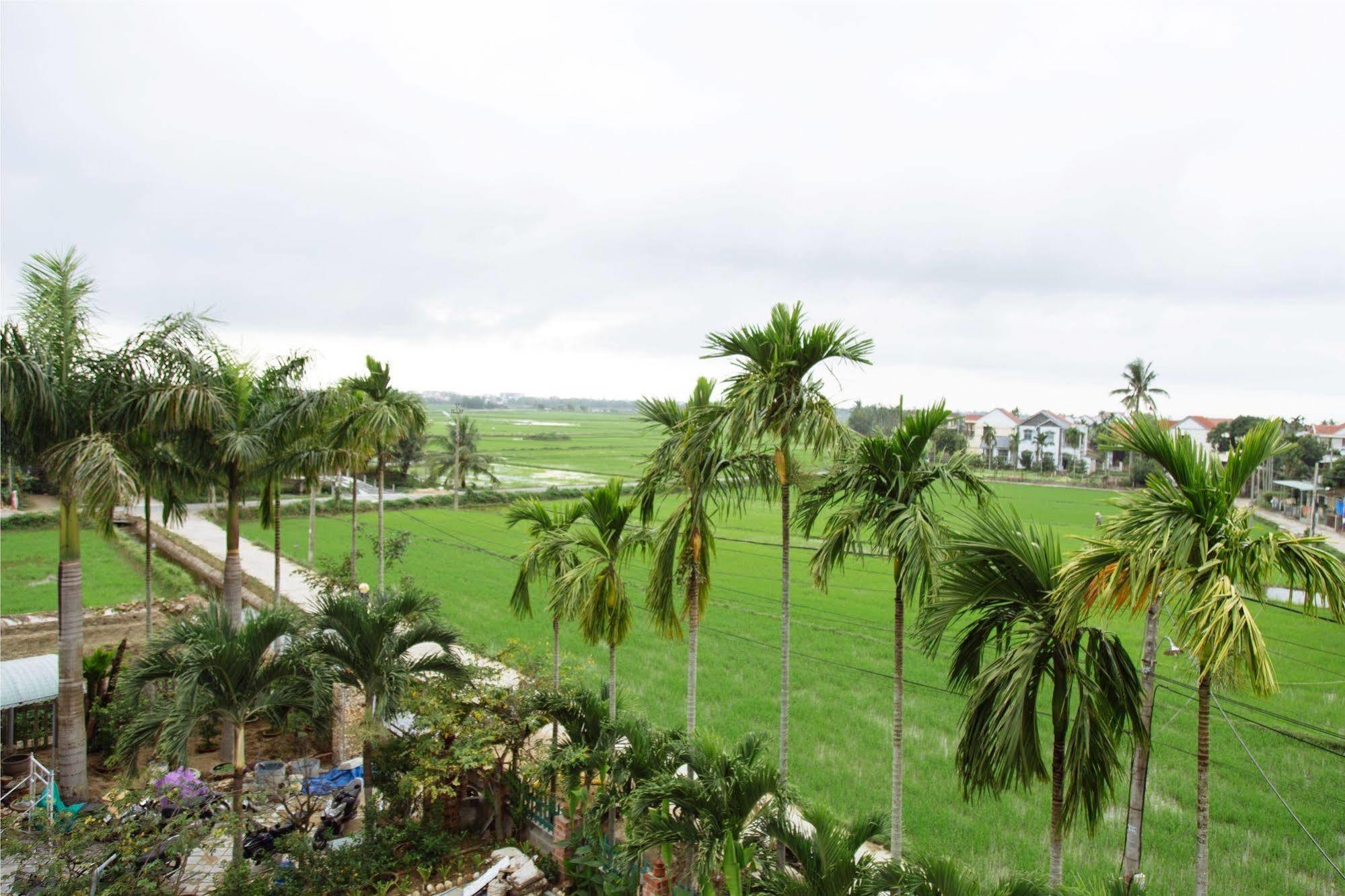 Hoi An Golden Rice Villa Exterior foto